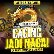 Title: Koko303b: Exploring Its Features, Community, and Digital Presence