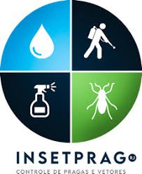 InsetPrag – Innovation, Technology, and Modern Applications